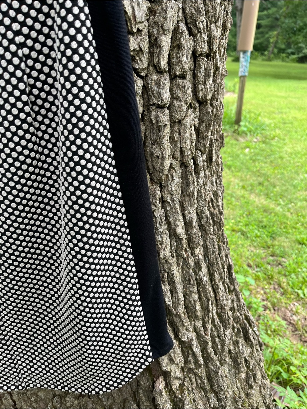 ⭐️Weston Polka Dot Skirt in size S - Picture 5 of 5